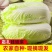 【地头价】河南娃娃菜大量有货价格低品质好要的联系