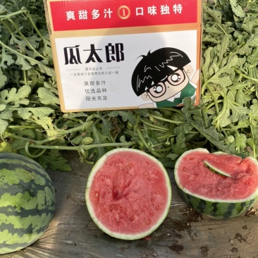 无籽美都大棚种植甘肃.平凉，兰州。宁夏高品质优选