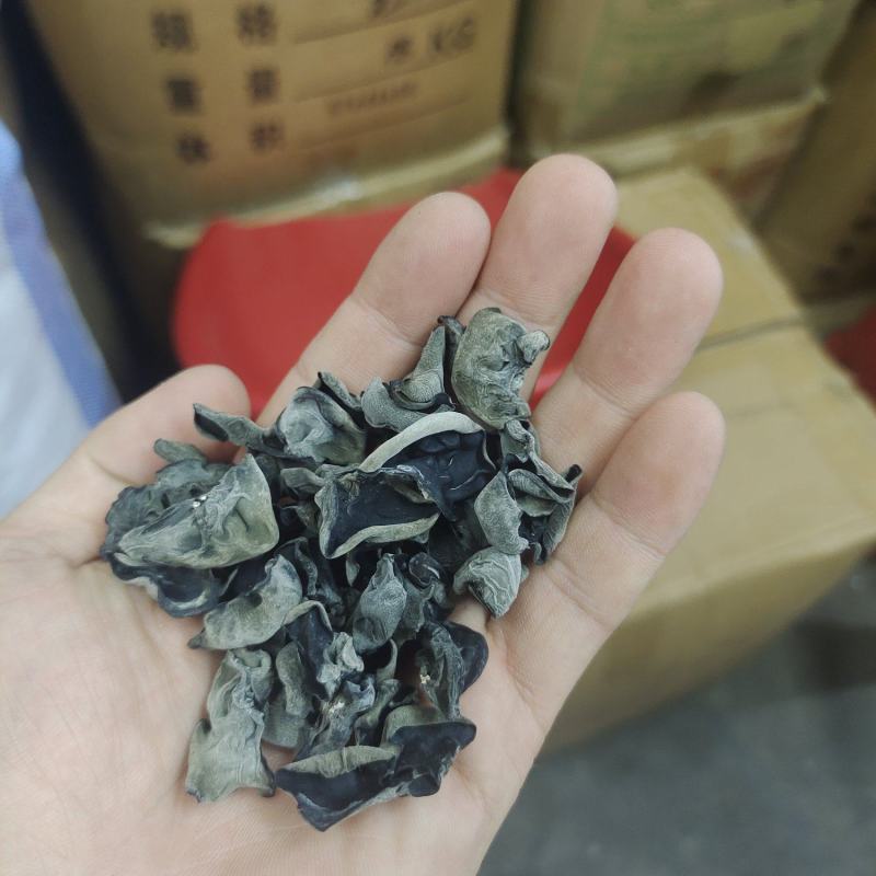 东北黑木耳