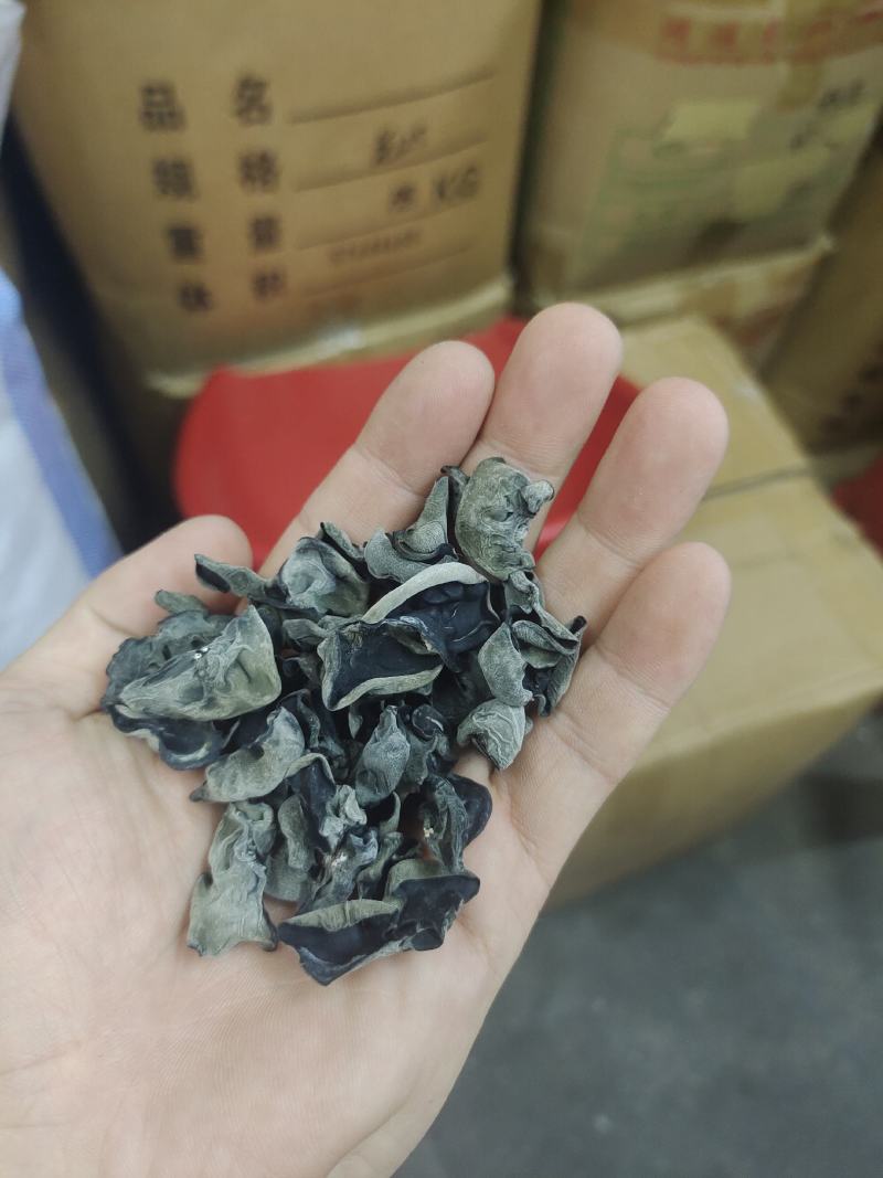 东北黑木耳
