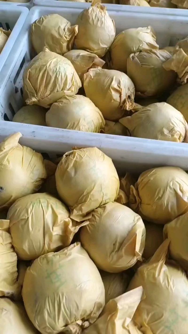 精品圆黄梨细致无渣甘甜多汁定制包装代发全国