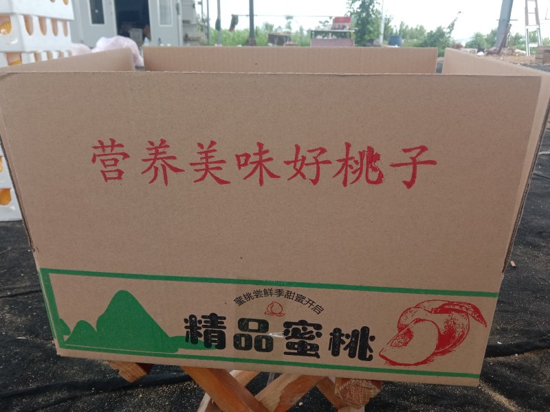 蒙阴蜜桃，专业一件代发
