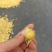 东北陆地鲜菇娘