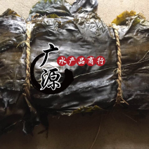 大连干海带不含沙子干度特别好