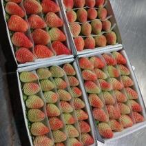 夏季草莓蒙特瑞