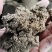 芋头皮，红薯皮货源充足保质保量货源充足