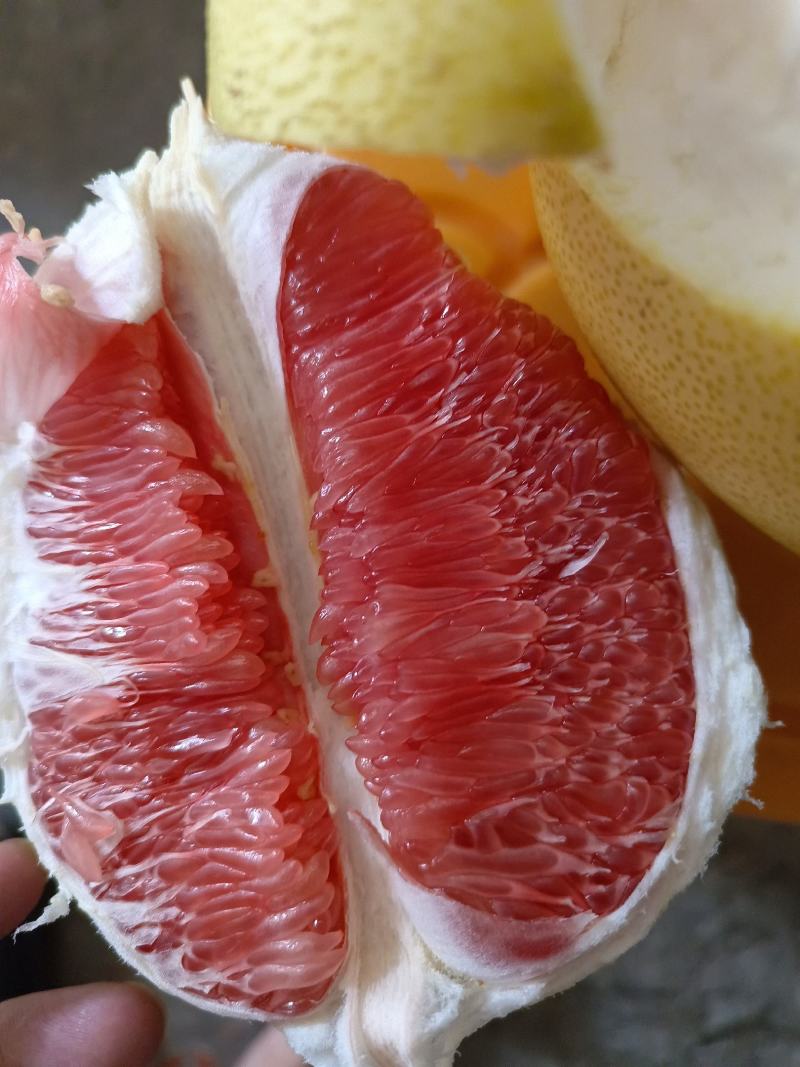 平和琯溪蜜柚