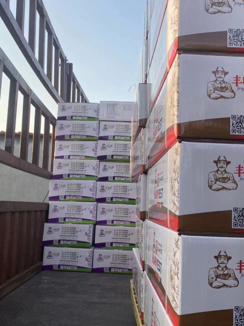 大量元素高钾肥以色列进口原料膨果着色口感好提早成熟