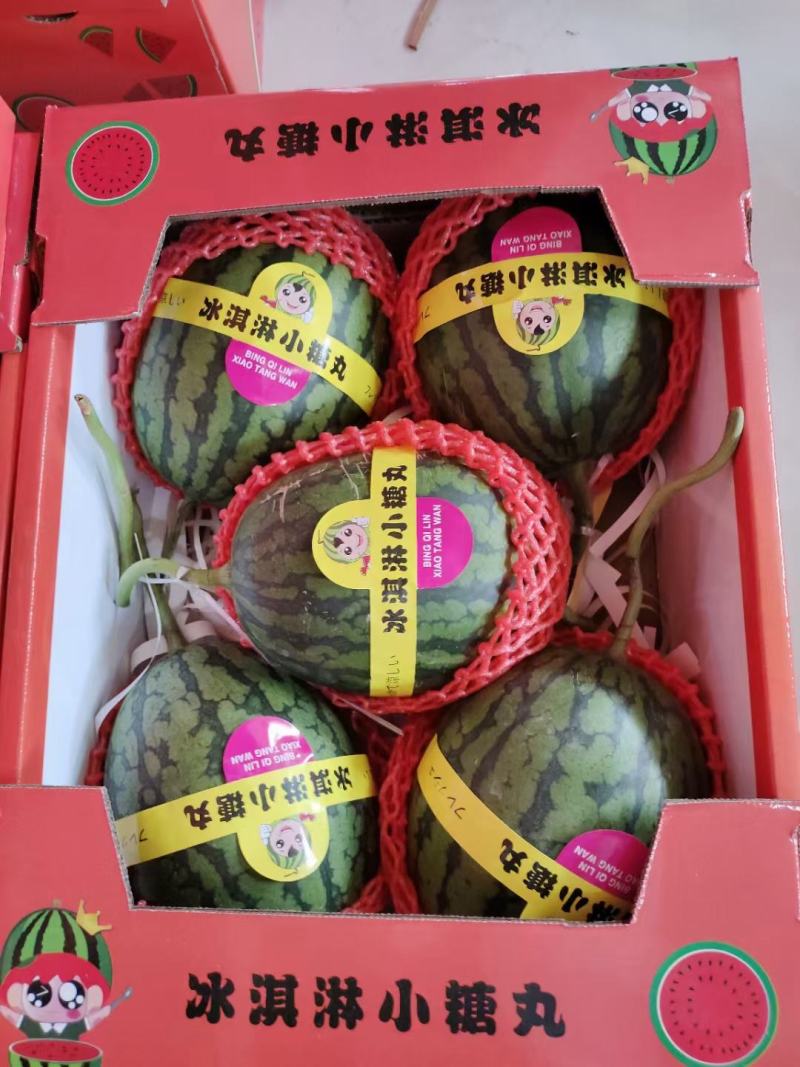 山东聊城头茬绿宝石，产地一手货源质量保证价格便宜。