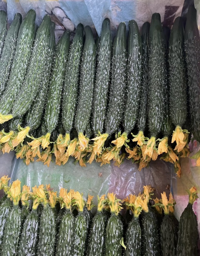🔥密刺黄瓜大量上市一手货源对接各大商超电商批发