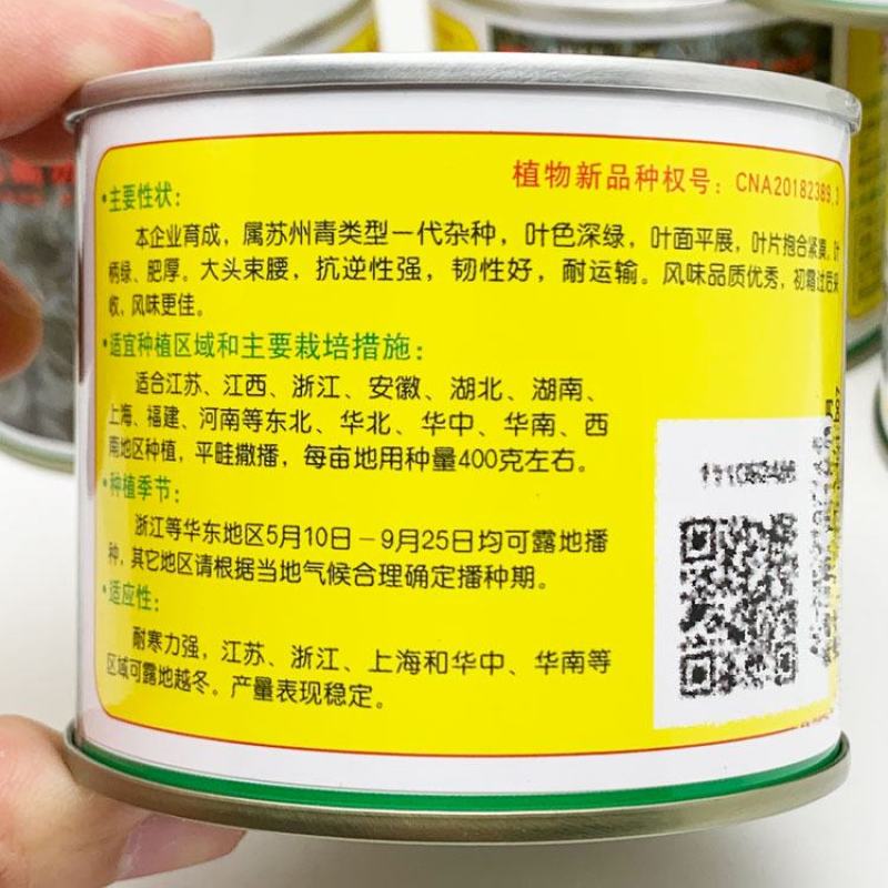 苏州青种子