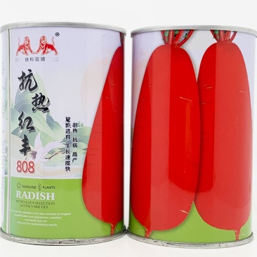抗热红丰808红皮白肉萝卜种子耐热不糠心夏秋萝卜种50克