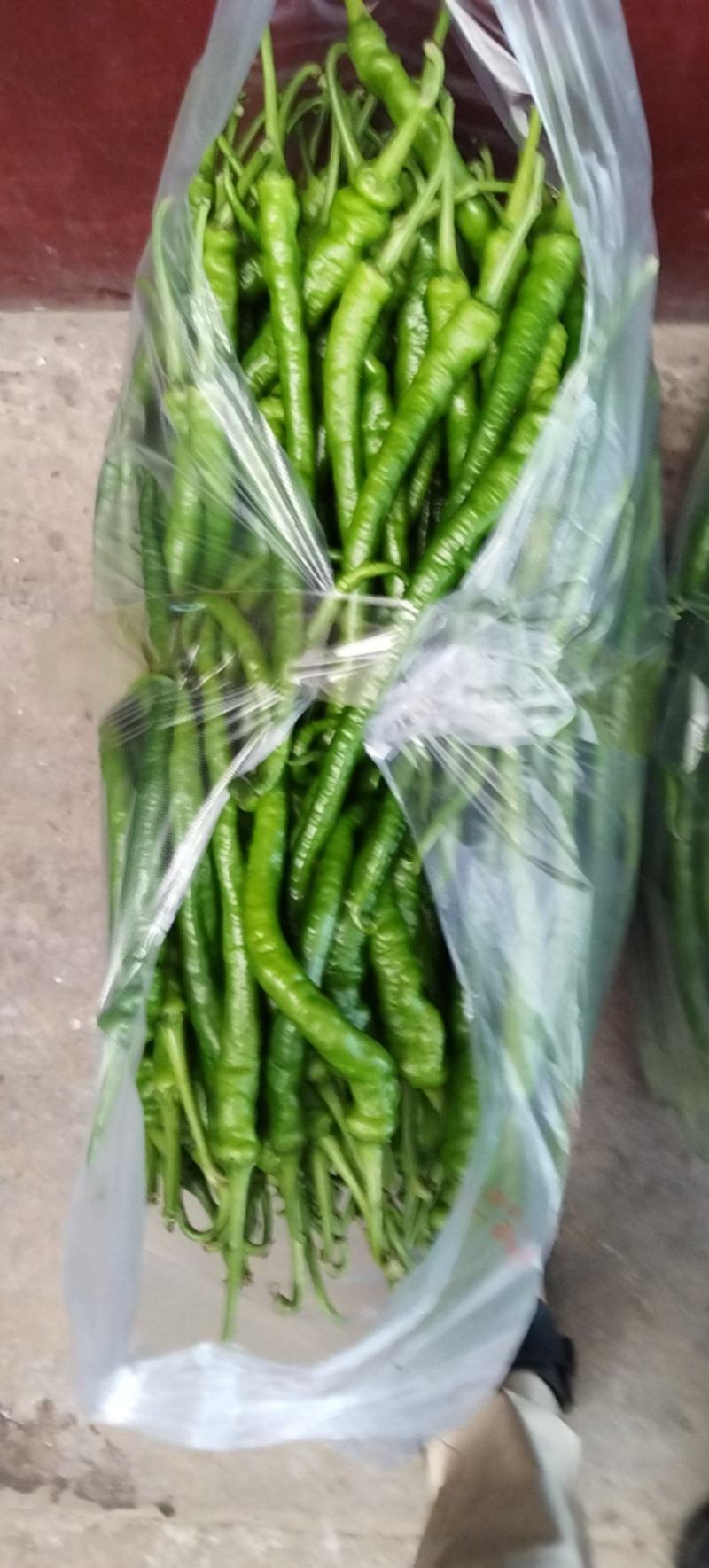 湖北利川高山有机蔬菜品质好