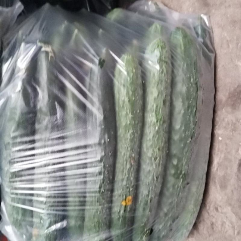 湖北利川高山有机蔬菜品质好