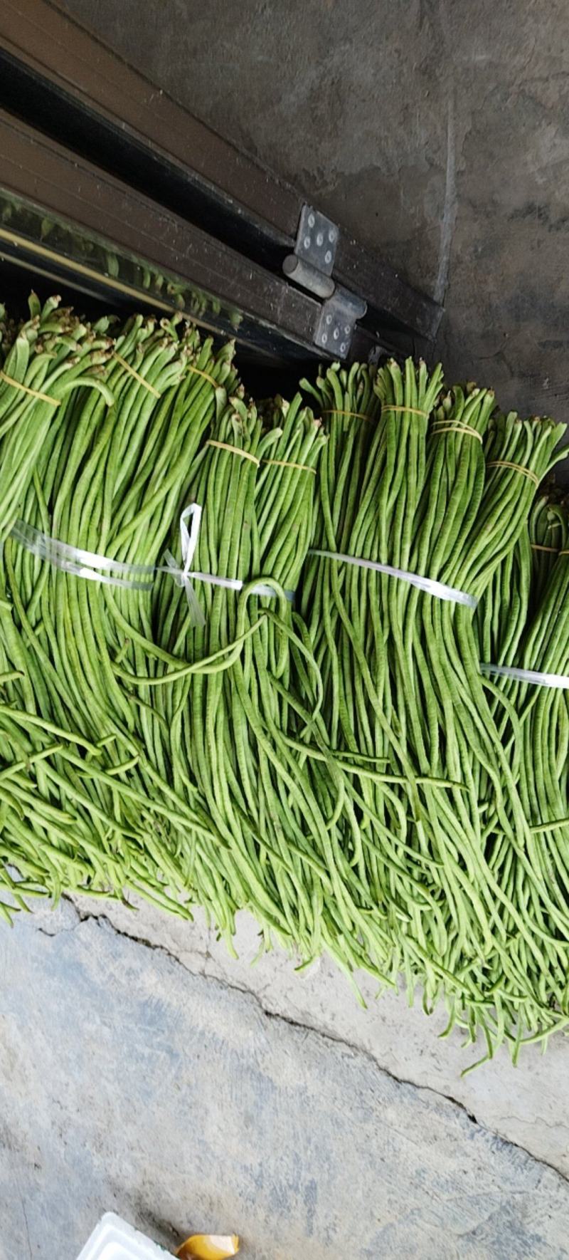 湖北利川高山有机蔬菜品质好
