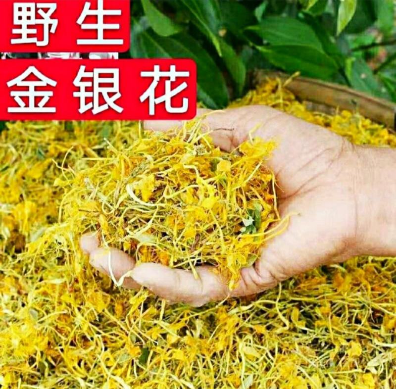 金银花野生金银花自然晒干泡水泡茶口感甘醇包邮