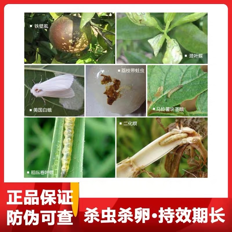 阿维虫螨腈虱螨脲菜青虫钻心虫草地贪叶蛾水稻玉米杀虫剂