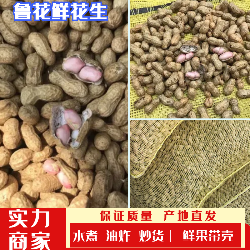 鲁花系列花生，鲜果，带壳，可水煮，榨油，炒货，