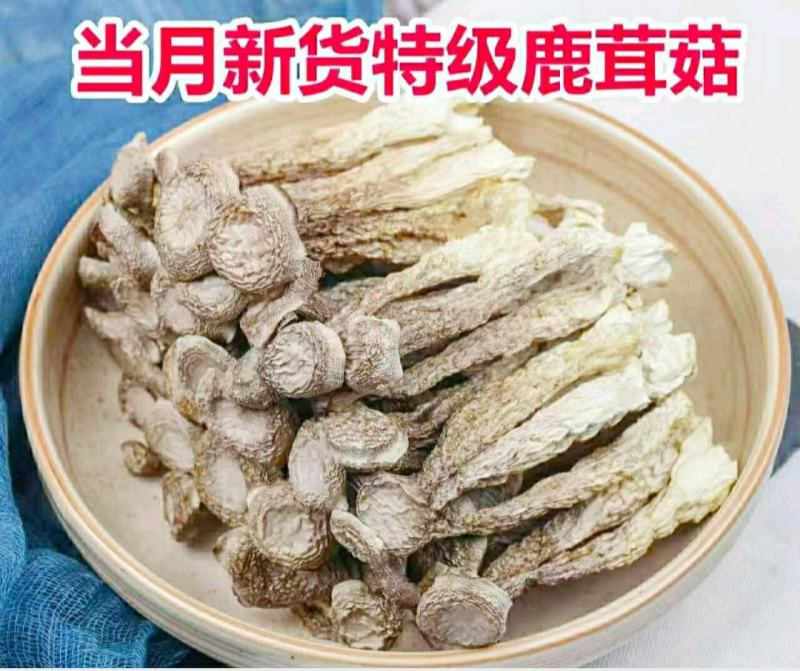 农家鹿茸菇鹿茸菇食用菌菌香浓郁煲汤鲜香美味干货包邮