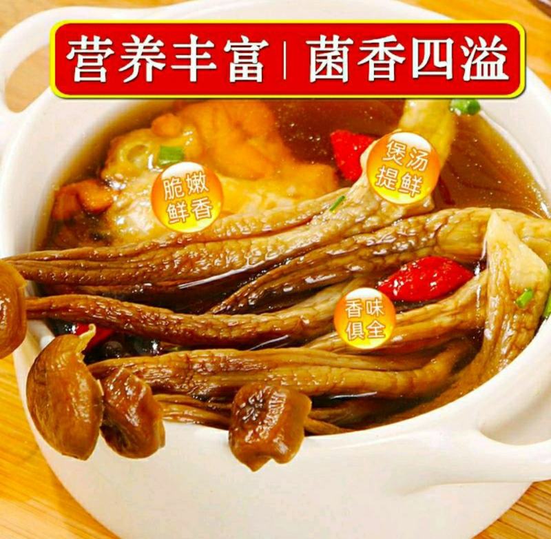 农家鹿茸菇鹿茸菇食用菌菌香浓郁煲汤鲜香美味干货包邮
