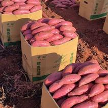 云南建水高原西瓜红蜜薯，产地直发，质量保证，需要的老板联