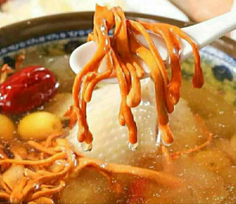 农家金虫草花虫草花干货原汁原味煲汤营养美味包邮
