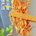 农家金虫草花虫草花干货原汁原味煲汤营养美味包邮