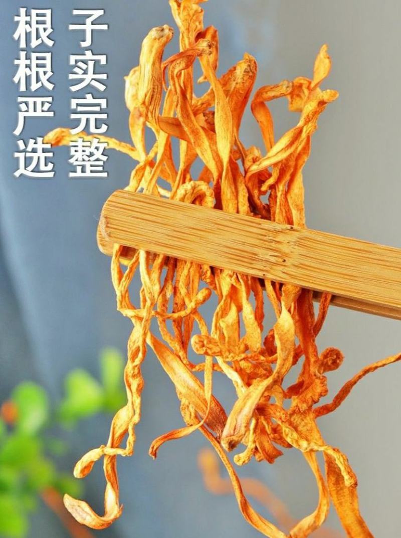 农家金虫草花虫草花干货原汁原味煲汤营养美味包邮