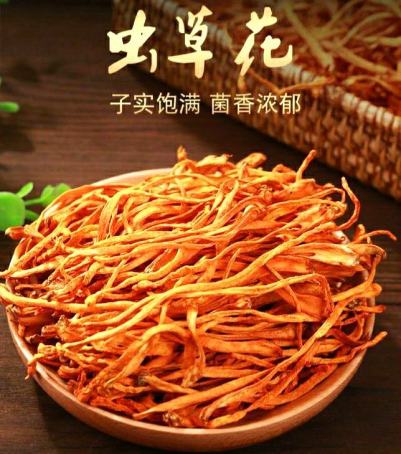 农家金虫草花虫草花干货原汁原味煲汤营养美味包邮