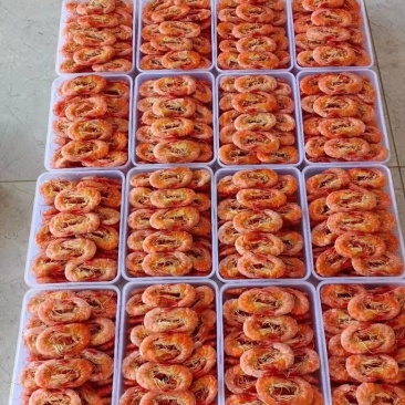各种海产品，海产品代办，代加工，需要的联系