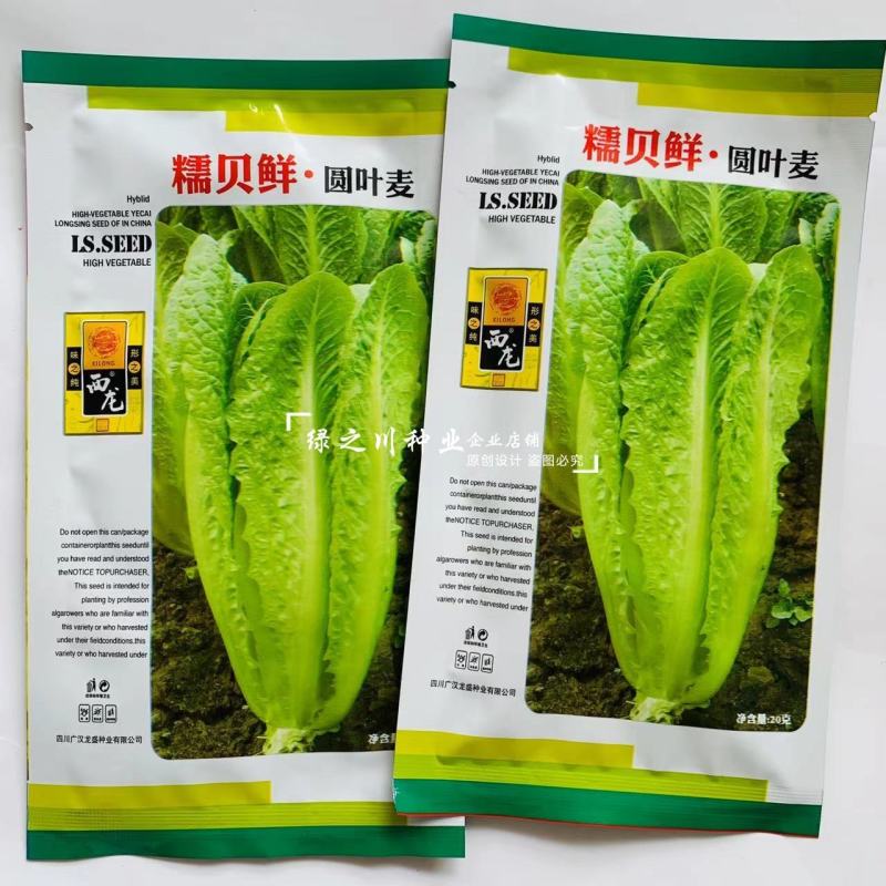 糯贝鲜圆叶麦种子全能型叶菜圆叶油麦菜种子四季速生蔬菜种子