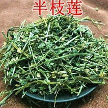 半枝莲挖耳草道地中草药半枝莲干净无杂保质保量包邮