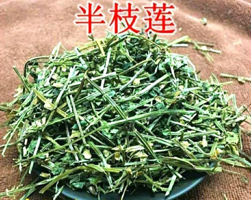 半枝莲挖耳草道地中草药半枝莲干净无杂保质保量包邮