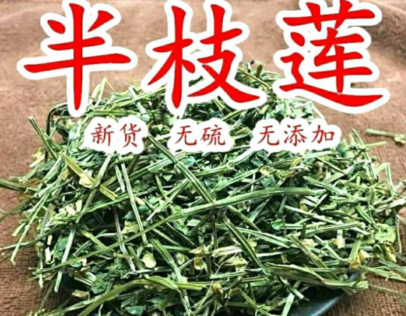 半枝莲挖耳草道地中草药半枝莲干净无杂保质保量包邮