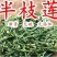半枝莲挖耳草道地中草药半枝莲干净无杂保质保量包邮