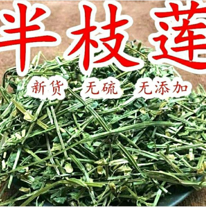 半枝莲挖耳草道地中草药半枝莲干净无杂保质保量包邮