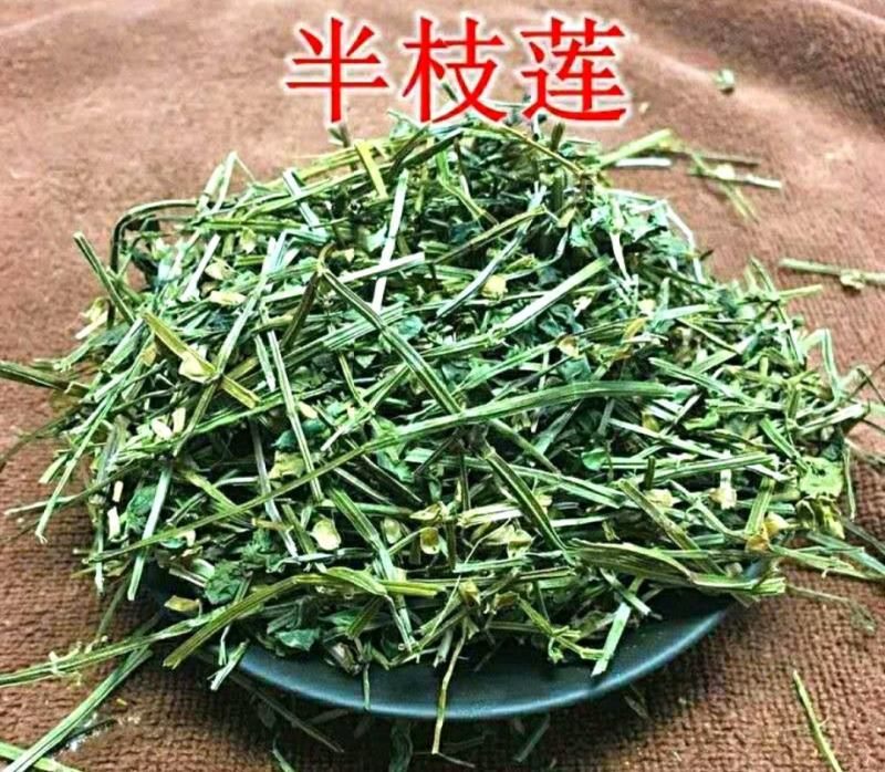 半枝莲挖耳草道地中草药半枝莲干净无杂保质保量包邮