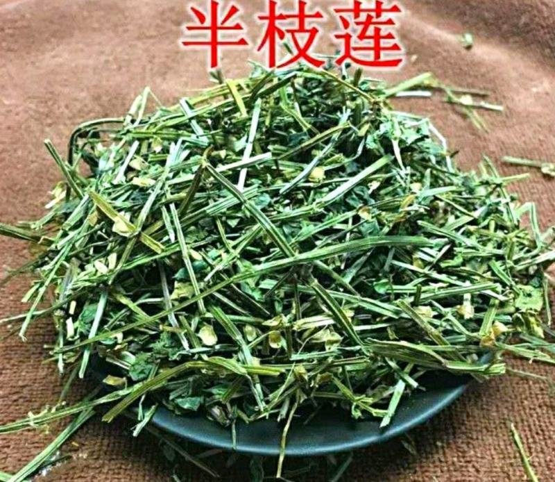 半枝莲挖耳草道地中草药半枝莲干净无杂保质保量包邮