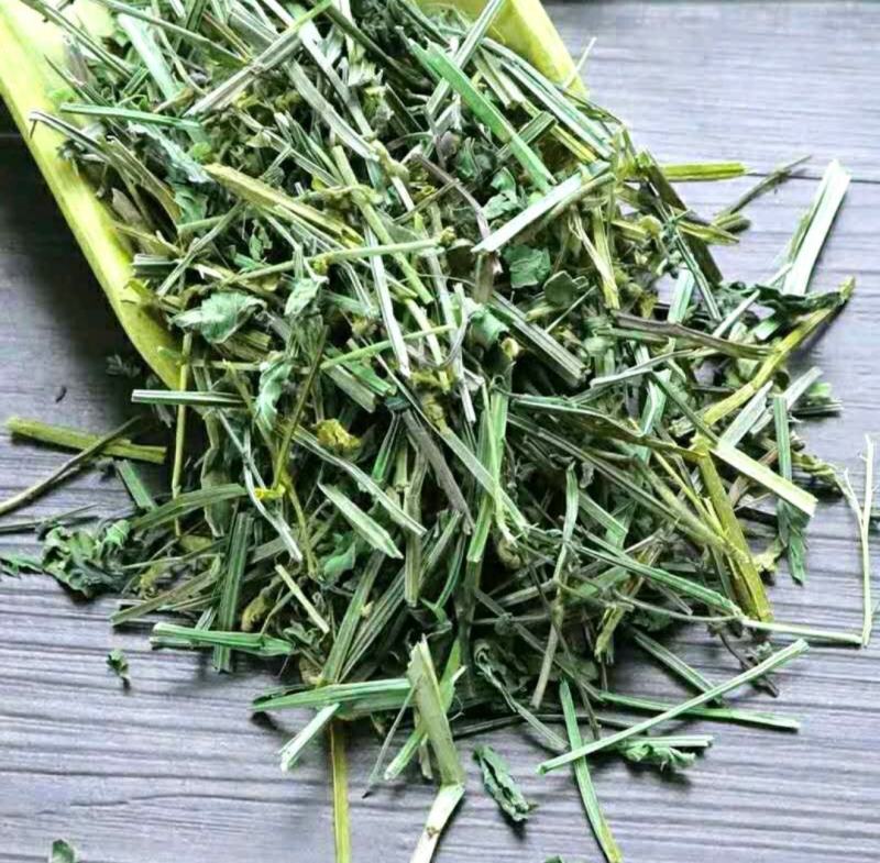 半枝莲挖耳草道地中草药半枝莲干净无杂保质保量包邮