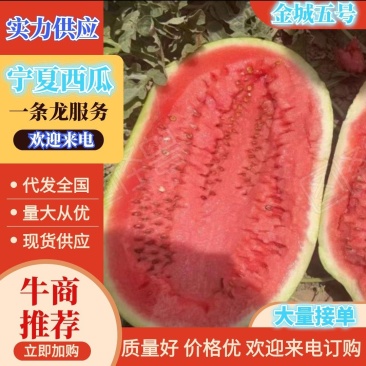 宁夏金花六号，一号西瓜产地直发价格美丽诚信合作欢迎来电