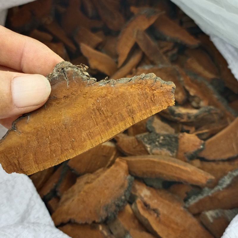 桑黄，手选人工切片，货源充足，干净无杂，全国发货