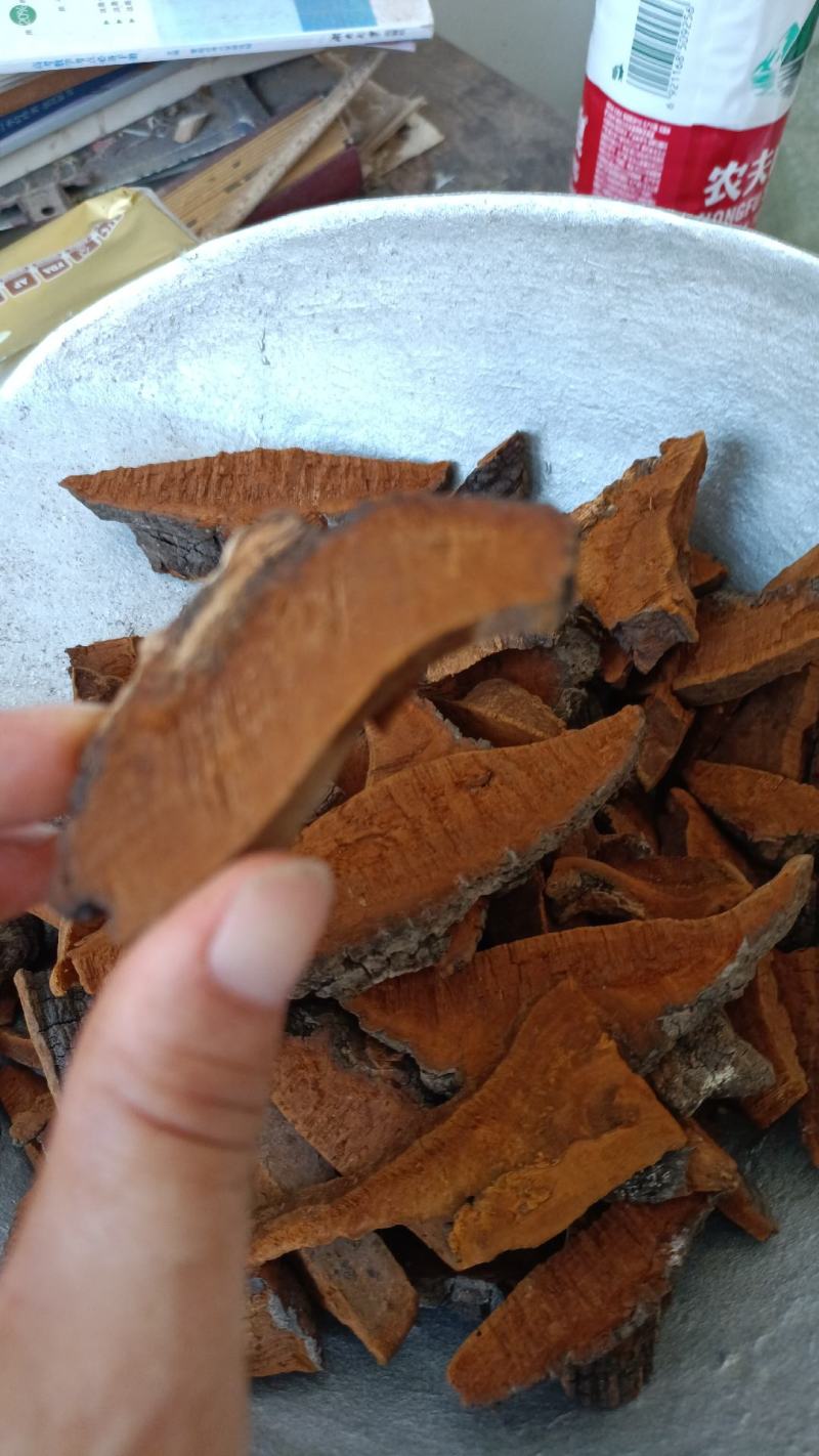 桑黄，手选人工切片，货源充足，干净无杂，全国发货