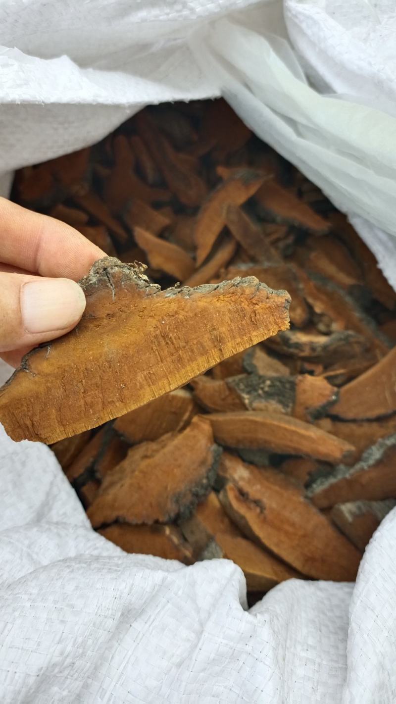 桑黄，手选人工切片，货源充足，干净无杂，全国发货
