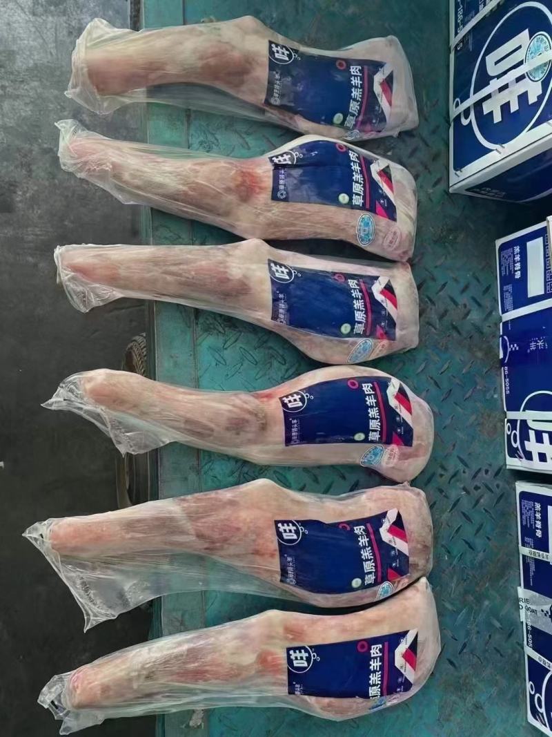 羊前腿，烧烤羔羊前腿.规格齐全，品质稳定！烧烤，卤炖均可