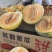 甘肃民勤万亩哈密瓜基地，欢迎来电选购，全国无死角代发团队