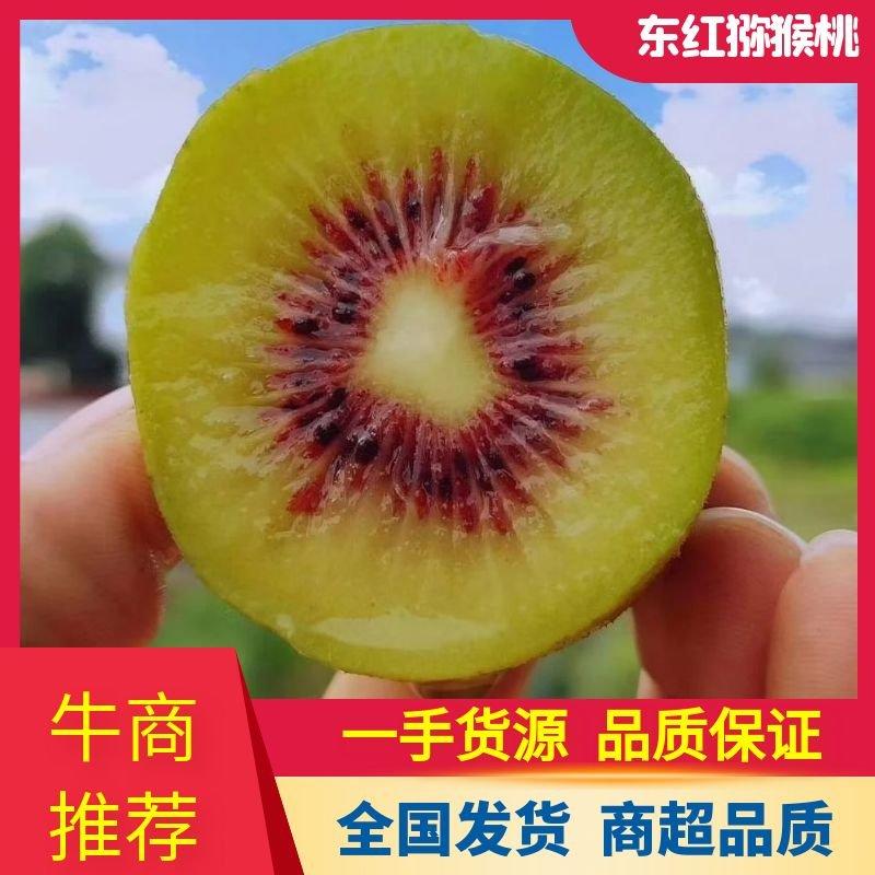 【热卖】四川东红猕猴桃猕猴桃产地直发专业代办