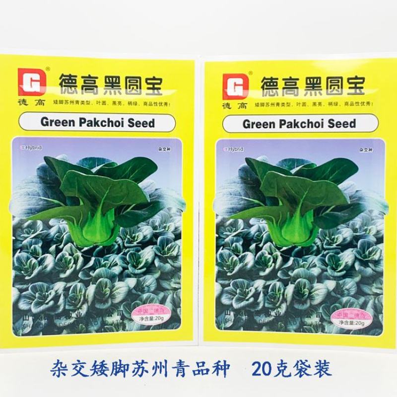 德高黑圆宝黑叶矮脚苏州青种子耐寒特矮软糯黑菜种20克原装
