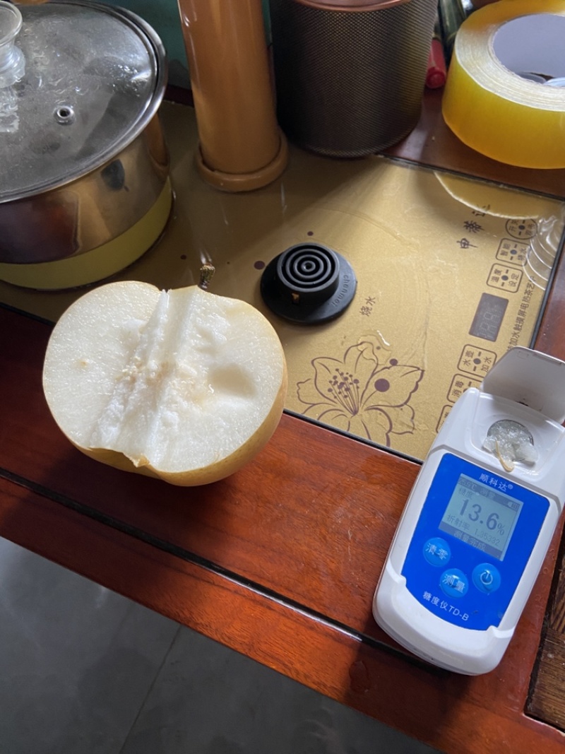 大量供应丰水梨秋月梨承接外贸加工市场礼盒加工电商一件代发
