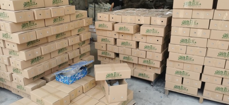 大量供应丰水梨秋月梨承接外贸加工市场礼盒加工电商一件代发