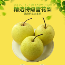 【精选】雪花梨泸西高原梨基地直发电商货社区团购